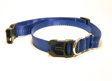 Slip Collar // Medium Dog // Royal Blue