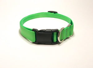 Slip Collar // Medium Dog // Spring Green